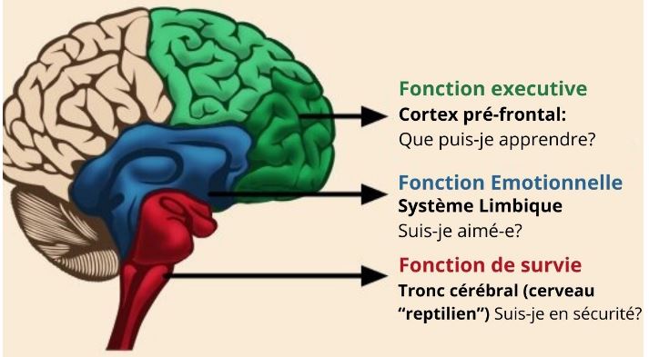 Comment créer transforme les schémas émotionnels ?